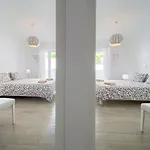 Mali Nono